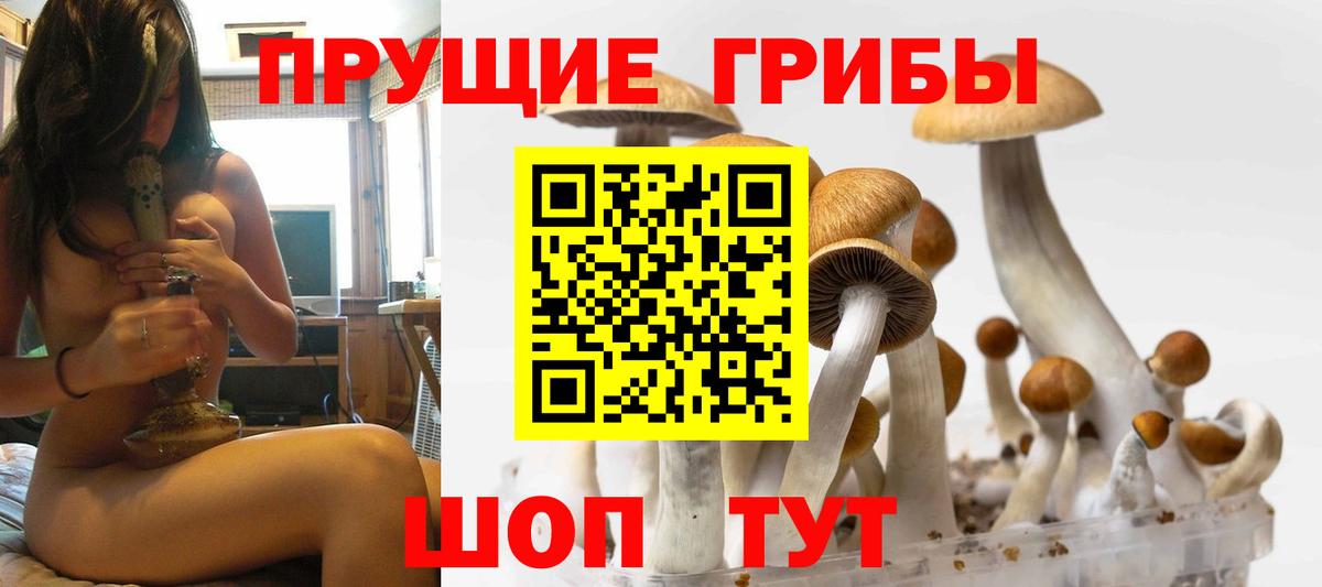 Галлюциногенные грибы прущие грибы  где можно купить наркотик  Галлюциногенные грибы Magic Shrooms  Ялуторовск  Вход с VPN 